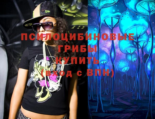 mdpv Кодинск
