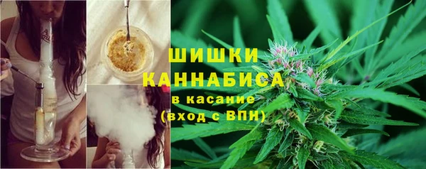 кокс Белокуриха