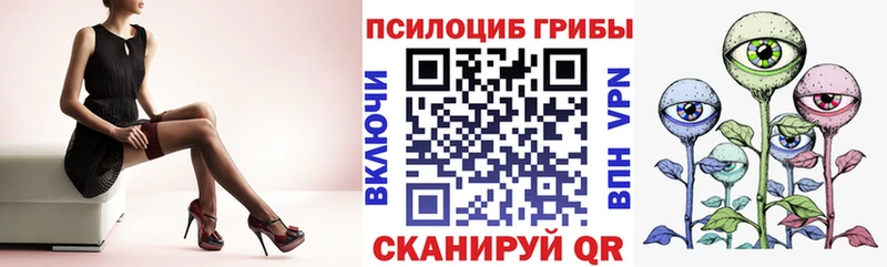 mega сайт  Кунгур  Галлюциногенные грибы Psilocybe 